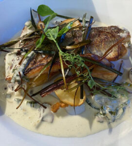 SLOT 511 - INCLUSIVE PAN FRIED SEABASS (2023)