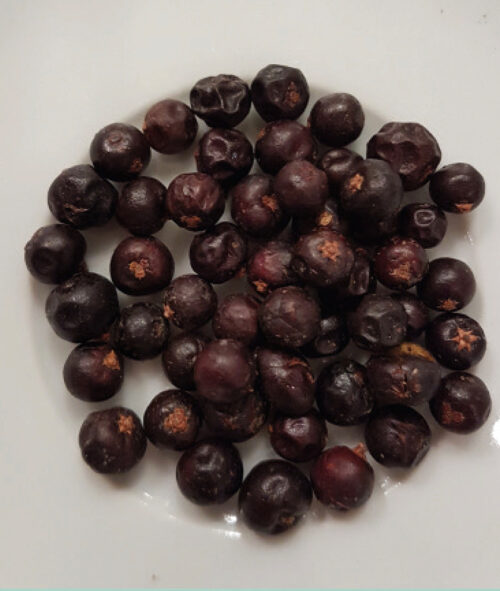 Juniper Berries