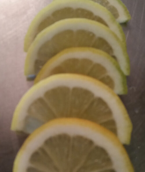Fresh lemon Slice