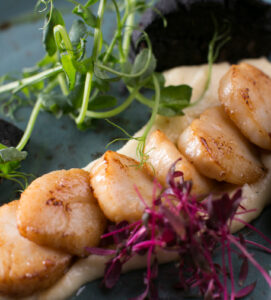 SLOT 26 - PAN SEARED ORKNEY SCALLOPS