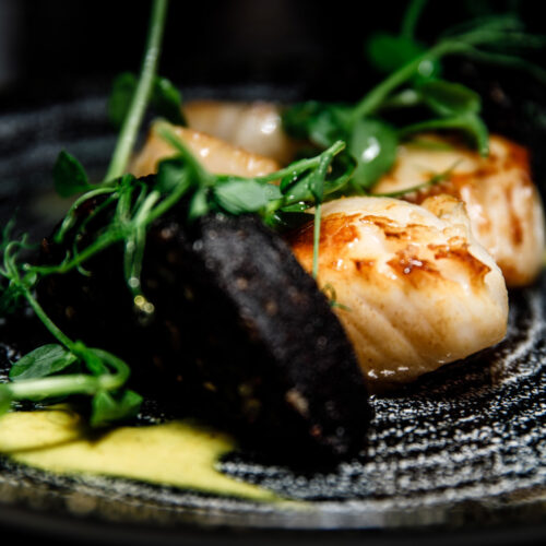 SLOT 26 - PAN SEARED ORKNEY SCALLOPS