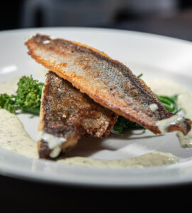 SLOT 54 - SEA BASS FILLET (ONE)